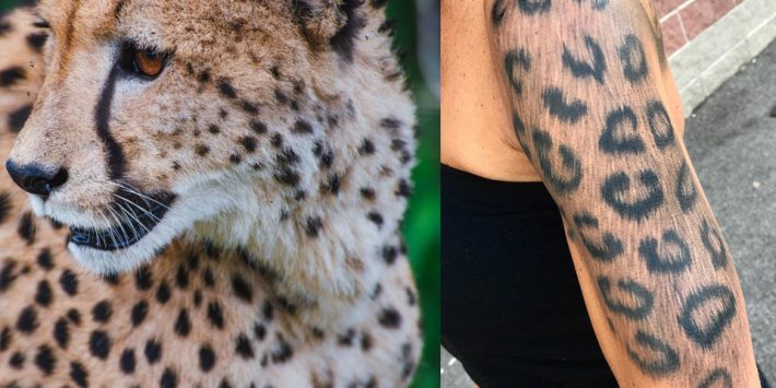 Leopard Tattoo Designs